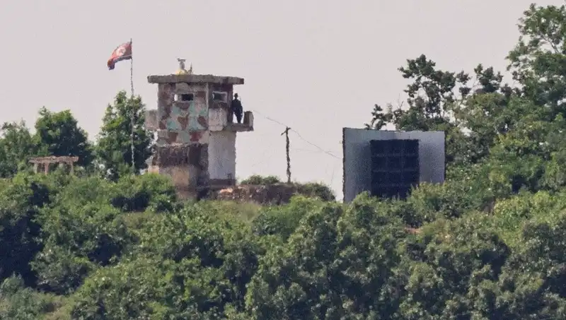 Kuzey Kore'den Amerika'ya Tarihi Bir Zeytin Dalı: Diplomasi Üzerine Yeni Bir Başlangıç