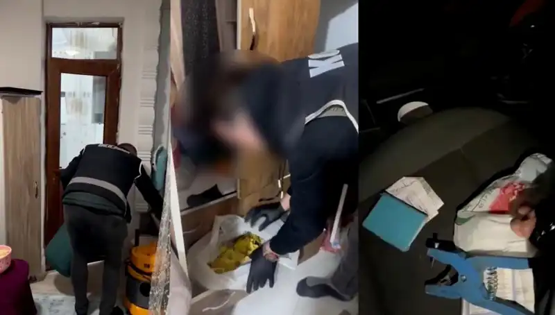 Hayvan Sevk Belgesi Usulsüzlüğünde Şok Operasyon: Dokuz Şüpheli Gözaltında