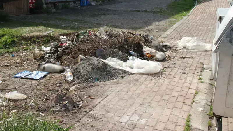 Antalya'da Gizemli Kedi Ölümleri: Vahşetin Perdesi Aralanacak mı?