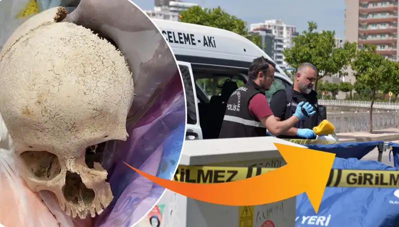 Sitenin Çöpünden Çıkan Kafatası: Uzman Doktor Gözaltında, Sır Perdesi Aralanıyor!