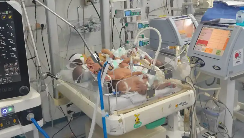 Gazzeli Doktorların Çağrısı: Savaş Ortamında Yenidoğan Bakımı Tehlikede