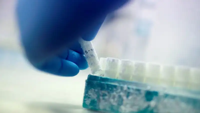 Tıbbi Felaket: 85 Sperm Donörü Binlerce Çocuğa Baba Olunca Ne Oluyor?