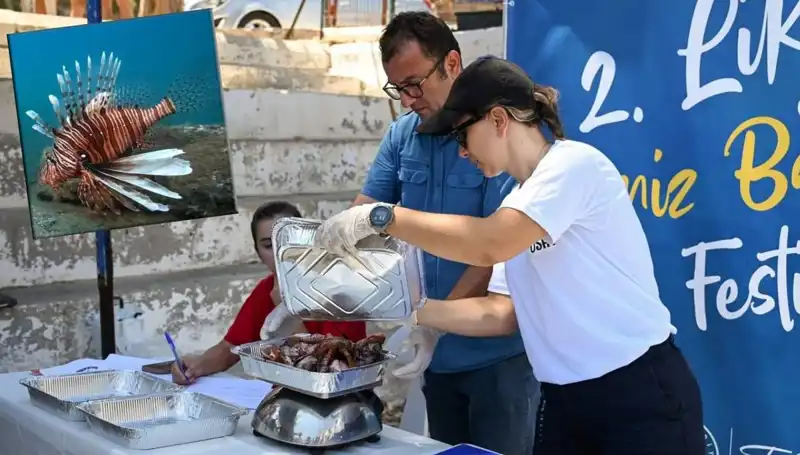 Antalya'da İstilacı Aslan Balığı Avlama Yarışması Yapılacak!