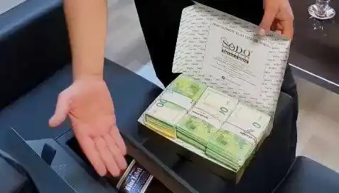 Manavgat Belediyesi'nde Şok Eden Operasyon: Baklava Kutularında Saklanan Avrolar Bulundu