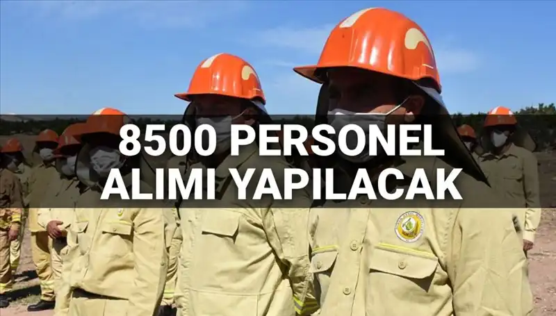 2025 Tarım ve Orman Bakanlığı 8500 Personel Alımı: Başvuru Tarihleri ve Şartlar Açıklandı mı?