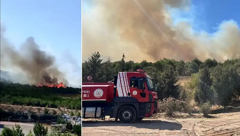 Gebze'de Orman Yangını: Yangınla Mücadele ve Son Gelişmeler