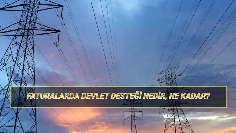 2025'te Devlet Destekli Doğalgaz ve Elektrik Faturaları: Kimler Yararlanabilir?