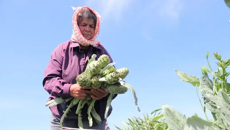 Tarladan Sofralara: Tezgahta 50 TL Olan Ürünler Neden Bu Kadar Pahalı?