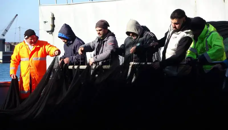 Denizlerde Hamsi Avı Tamamlandı: Balıkçı Tekneleri Erken Paydos Etti