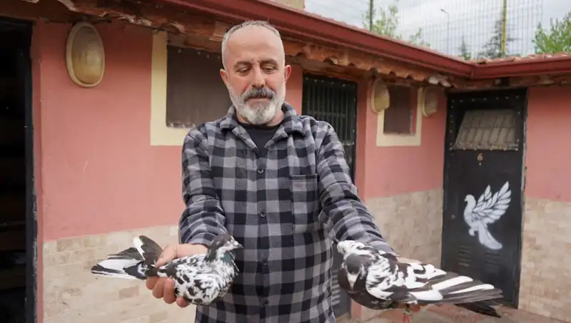 42 Yıldır Süren Hobi Artık Profesyonel Bir Tesiste Yaşanıyor