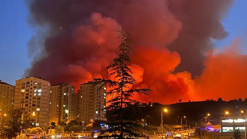 Bursa'da Yangın Alarmı: Şehirdeki Alevler Neden Korkutuyor?