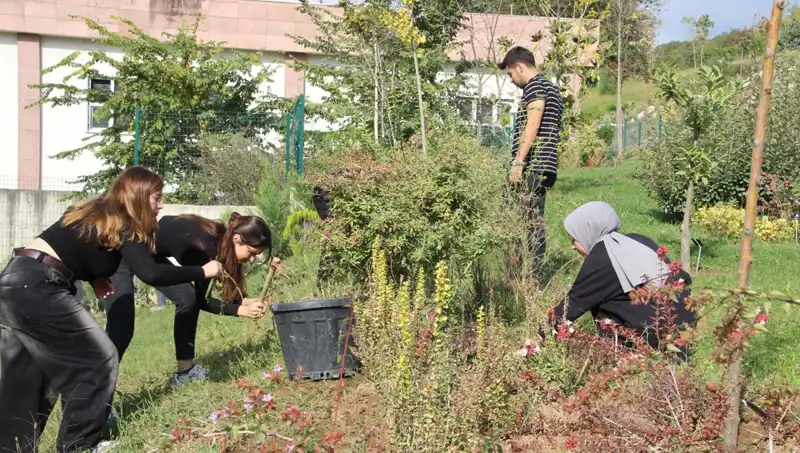 Düzce'nin Yıldızı: Dünyaya Açılan Hayaller Gerçek Oldu!