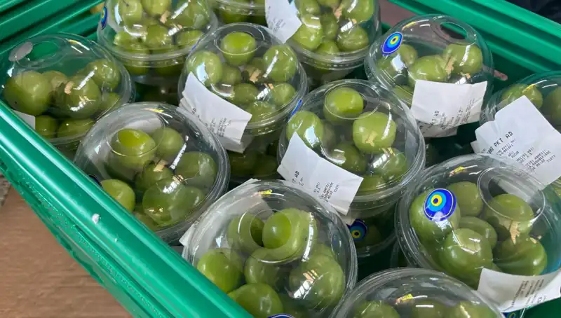 Don Olayı Rekolteyi Vurdu: Patates Fiyatları 450 Liraya Yükseldi!