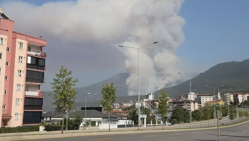 Denizli'de Orman Yangını: Korkutan Olayda Bir Şüpheli Gözaltında