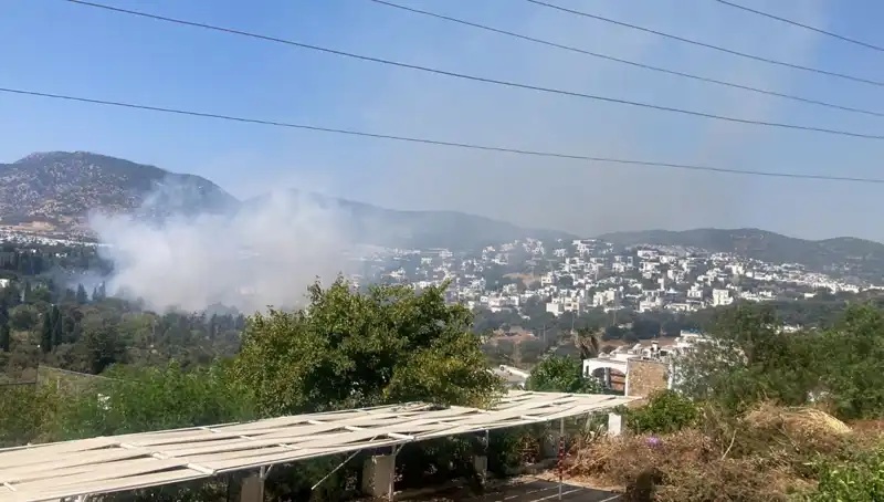 Muğla’daki Orman Yangınları: Doğa Artık Güvende mi?