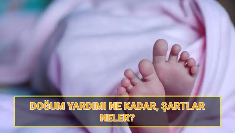 2025'te 5 Bin Lira Doğum Yardımı Başvurusunda Bilmeniz Gerekenler