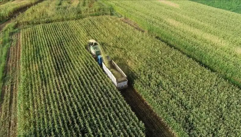 2025 Mart Ayı Mazot ve Gübre Desteği Ödemeleri: Son Durum Nedir?