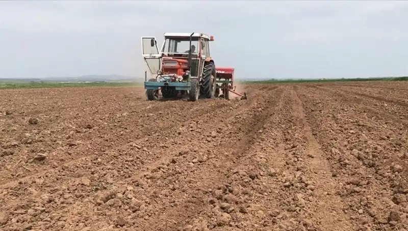 Son 35 Yılın En Kurak Mart Ayı: Türkiye'de Yağışlar Tarih Kırdı!