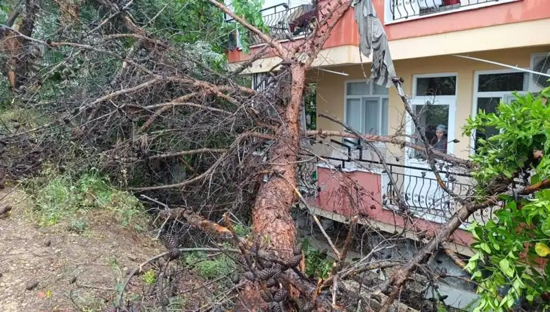 Yağmur Yüklerine Dayanamadı: Bina Çöktü ve Büyük Panik Yaşandı!