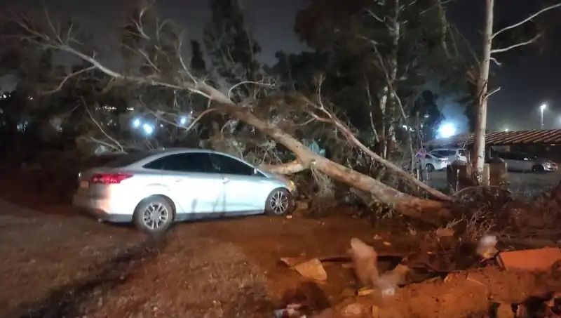 Hatay'da Fırtına İle Gelen Felaket: Tekneler Alabora, Ağaçlar Devrildi