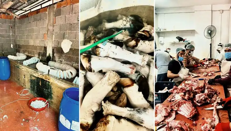 Adana'da Skandal: Yüzlerce Kilo Paça Ele Geçirildi!